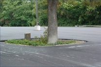 Photo of A1 Asphalt Paving & Repair