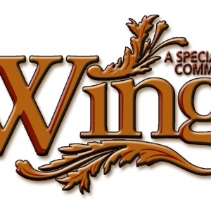 Photo of Wings A Special Needs Community
