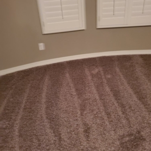 Photo of CEP Cleaning Service