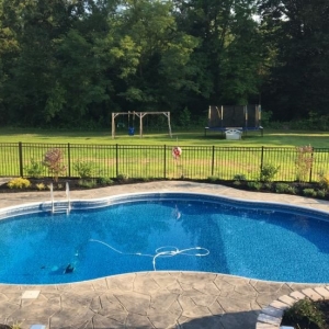 Photo of Top Line Pool Service