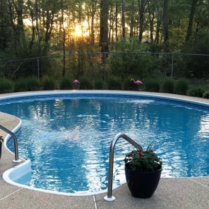 Photo of Top Line Pool Service