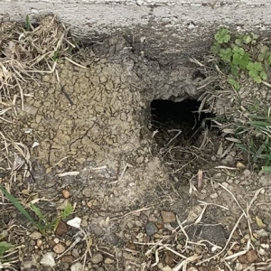 Photo of Alfa Foundation Repair