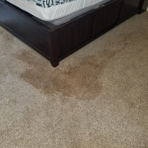 Photo of Texan Cleaners
