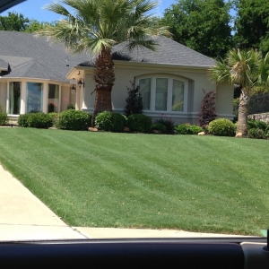 Photo of Grass Kisser Landscape Management