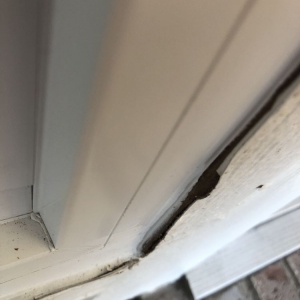 Photo of Ringer Windows