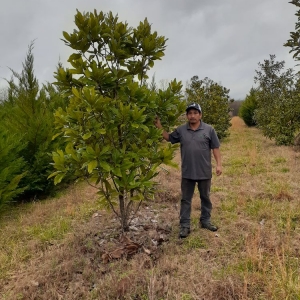 Photo of Mr Martini's Tree Farm