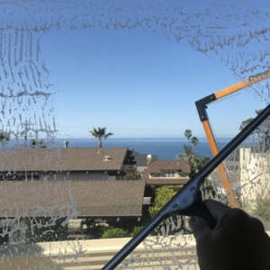 Photo of SD Green Clean