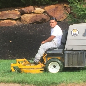 Photo of A.L Masonry And Tree Services