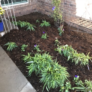Photo of Top Choice Lawn Care