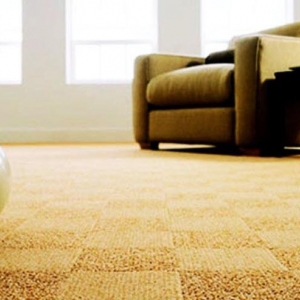 Photo of Full House Carpet Cleaning