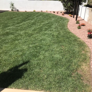 Photo of Green Outlook Landscape