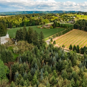 Photo of Mathew Purcell - John L Scott Real Estate