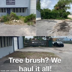 Photo of Haul It Pros