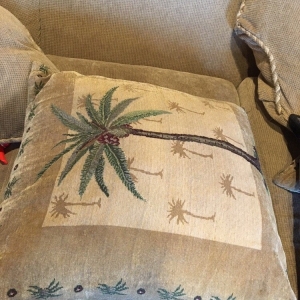 Photo of North County Carpet Cleaning
