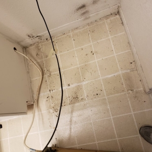 Photo of The Clean