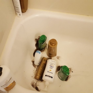 Photo of The Clean