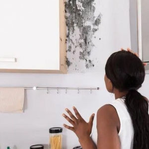 Photo of Mr. Mold - Mold Removal Experts
