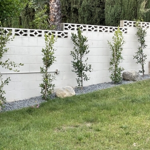 Photo of All Professional Landscape