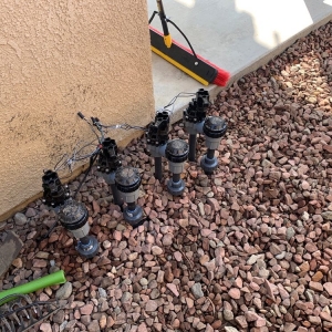 Photo of All Professional Landscape