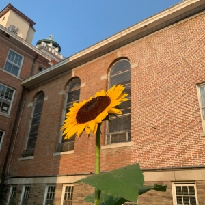 Photo of St Joseph Center of Arkansas