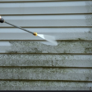 Photo of Eastern Outdoor Services