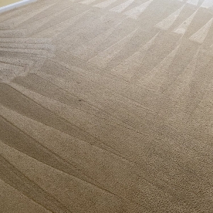 Photo of Girons Carpet Cleaning