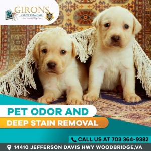 Photo of Girons Carpet Cleaning