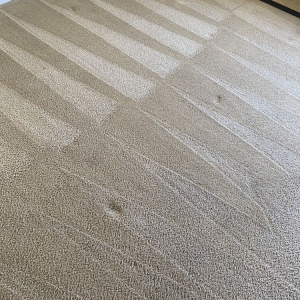 Photo of Girons Carpet Cleaning