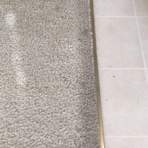 Photo of Show Me Carpet Cleaning