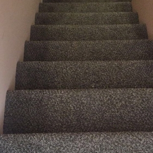 Photo of Show Me Carpet Cleaning