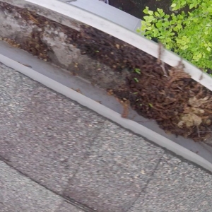 Photo of Paramount Home Services