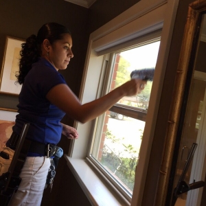 Photo of LCS Window Cleaning