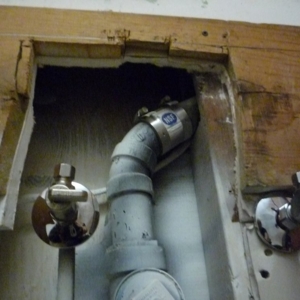 Photo of American Mold Services