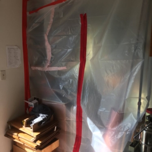 Photo of American Mold Services