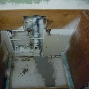 Photo of American Mold Services