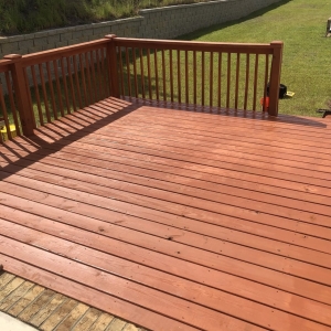 Photo of Cola Pro Fence and Deck Staining