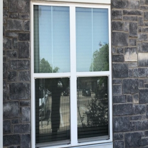 Austin Bluebonnet Windows