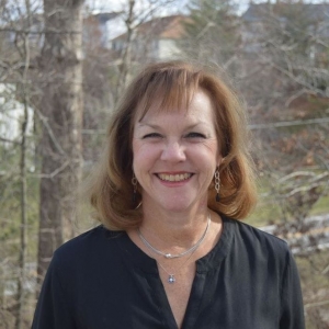 Ballwin Candace Omlid Tax Services