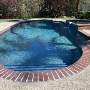 Photo of Elite Custom Pools