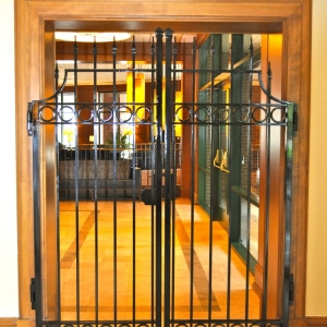 Photo of Wrought Iron Fences