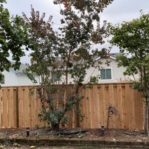 Photo of The Original Fence Company