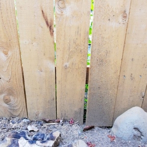 Photo of The Original Fence Company