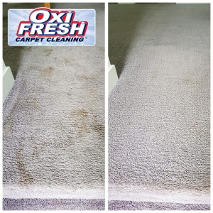 Photo of Oxi Fresh Carpet Cleaning
