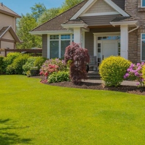 Marlborough Vega Landscape And Construction