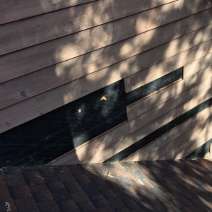 Photo of Fresh Finish Painting