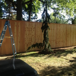 Photo of Moyer Lawncare and Landscaping