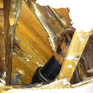 Photo of Loyear Disaster Restoration Services
