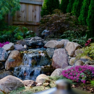 Photo of Custom Environments Landscape and Design