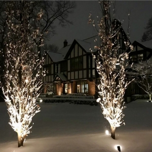 Photo of Custom Environments Landscape and Design
