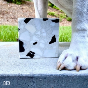 Photo of Dex Industries